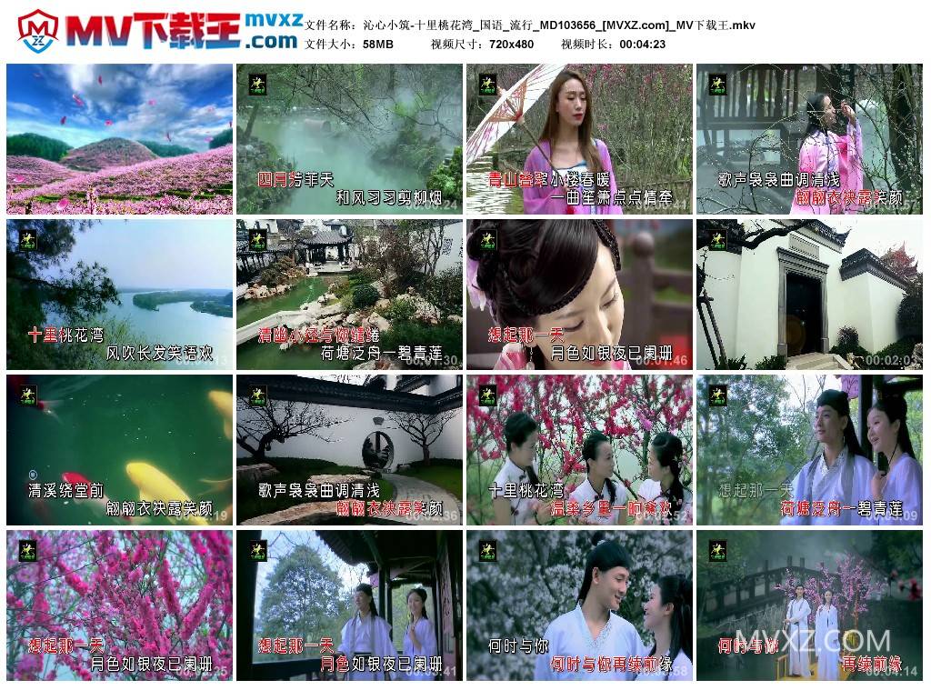 沁心小筑-十里桃花湾_国语_流行_MD103656